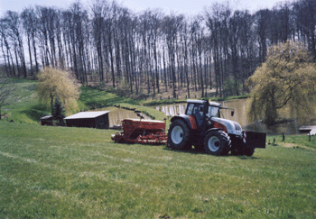 nicht zugeordnet/gruenland1_460.gif (original)